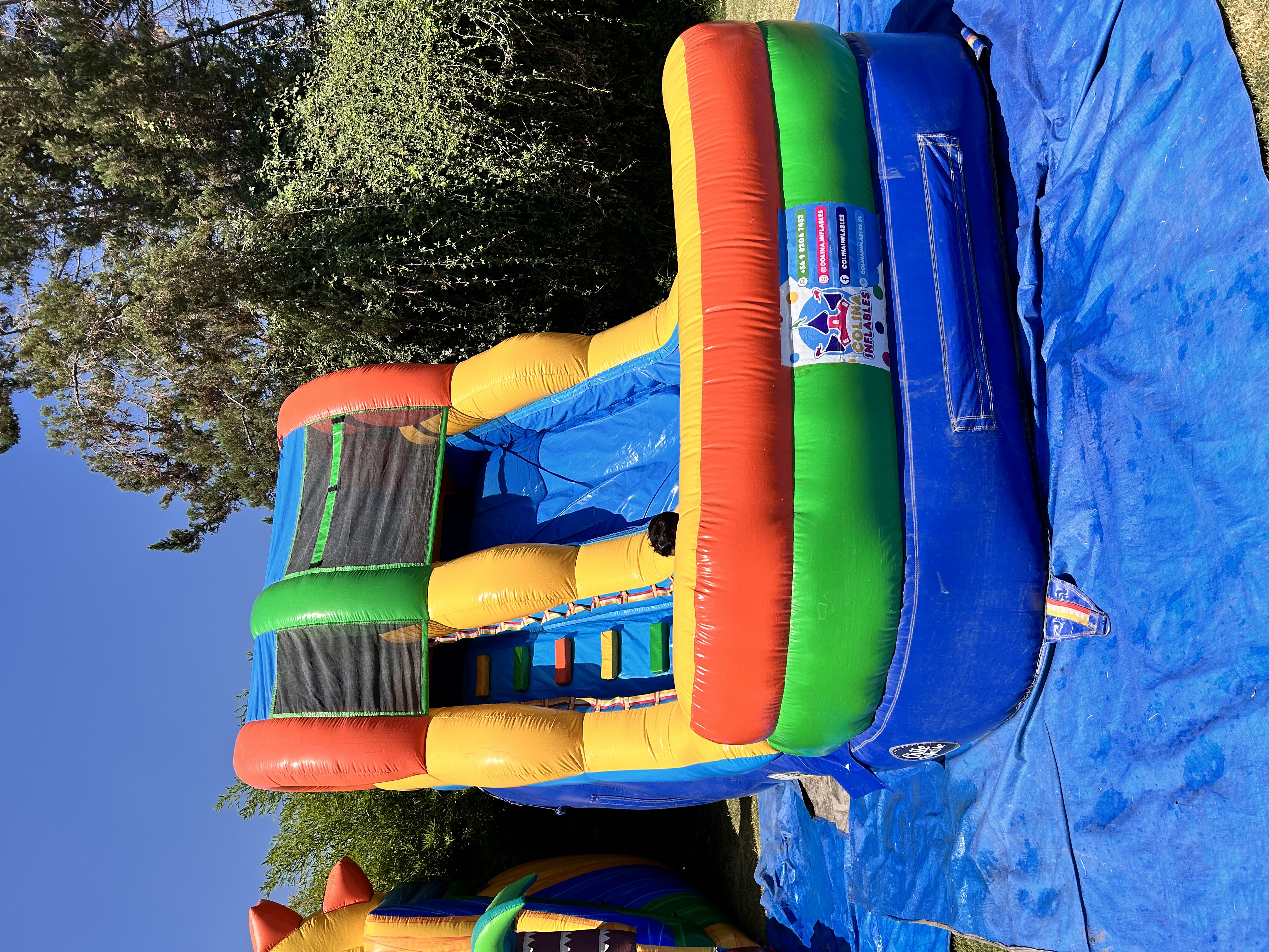 ACUÁTICO MULTICOLOR