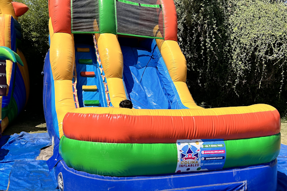 ACUÁTICO MULTICOLOR