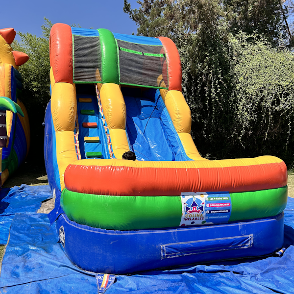 ACUÁTICO MULTICOLOR